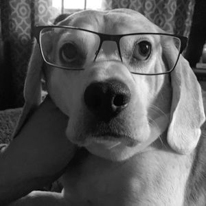 Meet your Posher, Kyle